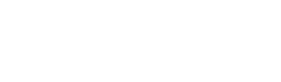Trust Shield Offshore Bank